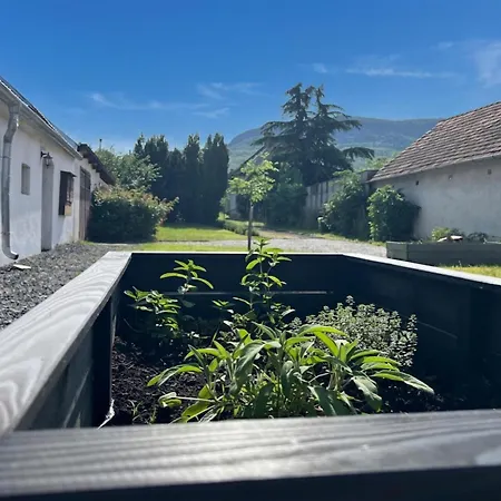 Badacsony Terrace & Garden - Happy *